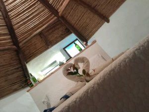 arriendo_cabaas_el_roble_villa_1779120371-5378_1616.jpeg