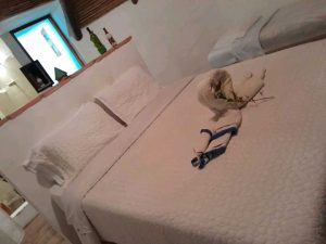 arriendo_cabaas_el_roble_villa_1779120374-2852_4232.jpeg