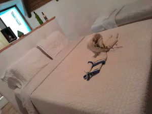 arriendo_cabaas_el_roble_villa_1779120382-3303_1129.jpeg