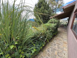 arriendo_casa_campestre_suesca_1763245395-7391_725.jpeg