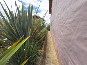 arriendo_casa_campestre_suesca_1763245402-8433_6749.jpeg