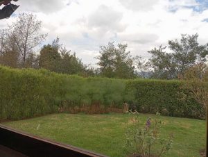 arriendo_casa_sin_muebles_en_c_1790011670-3953_344.jpeg