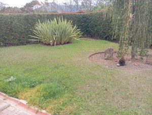 arriendo_casa_sin_muebles_en_c_1790011675-8349_5639.jpeg