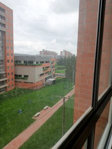 arrindo_cerezo_1731430643-0767_7156.jpeg
