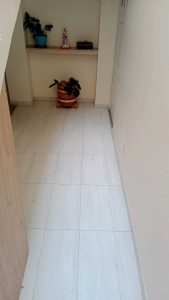 se_arrienda_apartamento_centr_1775259769-8527_788.jpeg