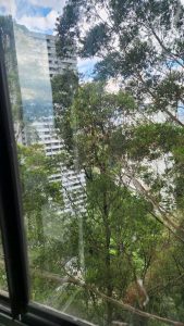 se_arrienda_apto_para_estrenar_1781802940-121_5639.jpeg