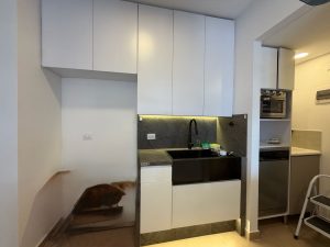 se_vende_y_renta_apartamento_e_1789768331-763_190.jpeg