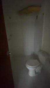 117541620261006035720.jpg