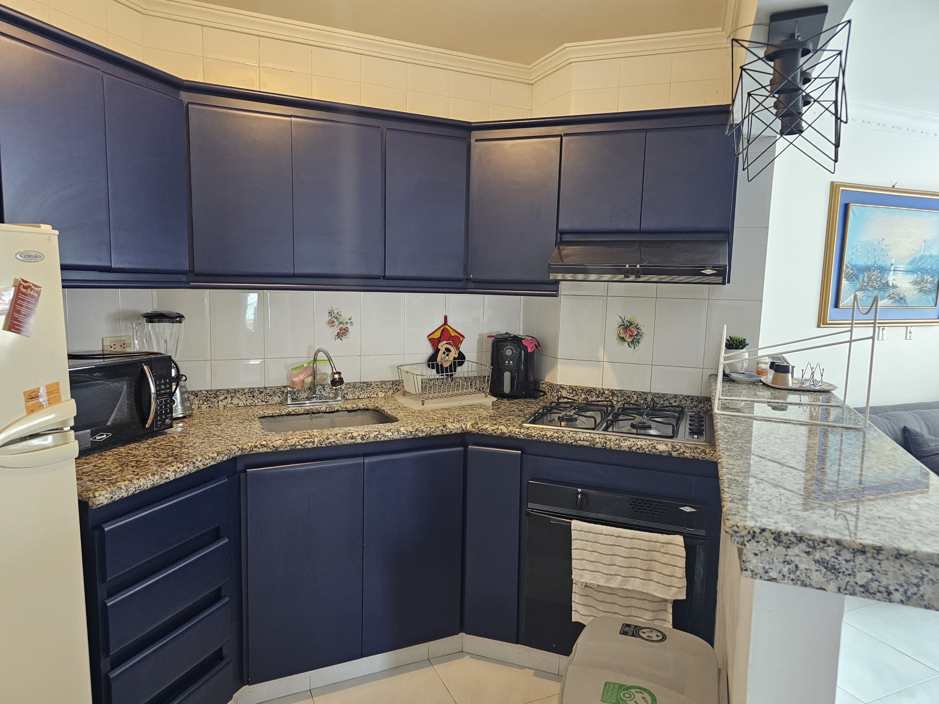 Arriendo Apartamento Amoblado 2 Alcobas – Sector Bello Horizonte