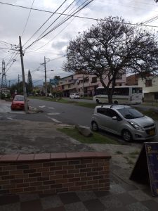 301031920190409111050.jpeg