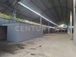 6ad2ab3c706ca.jpg