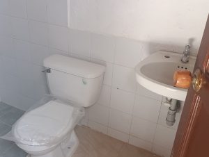 79331120261024110146.jpeg