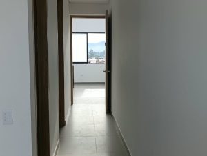 7933720261026114247.jpeg