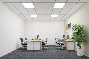 OfficeL_1.png